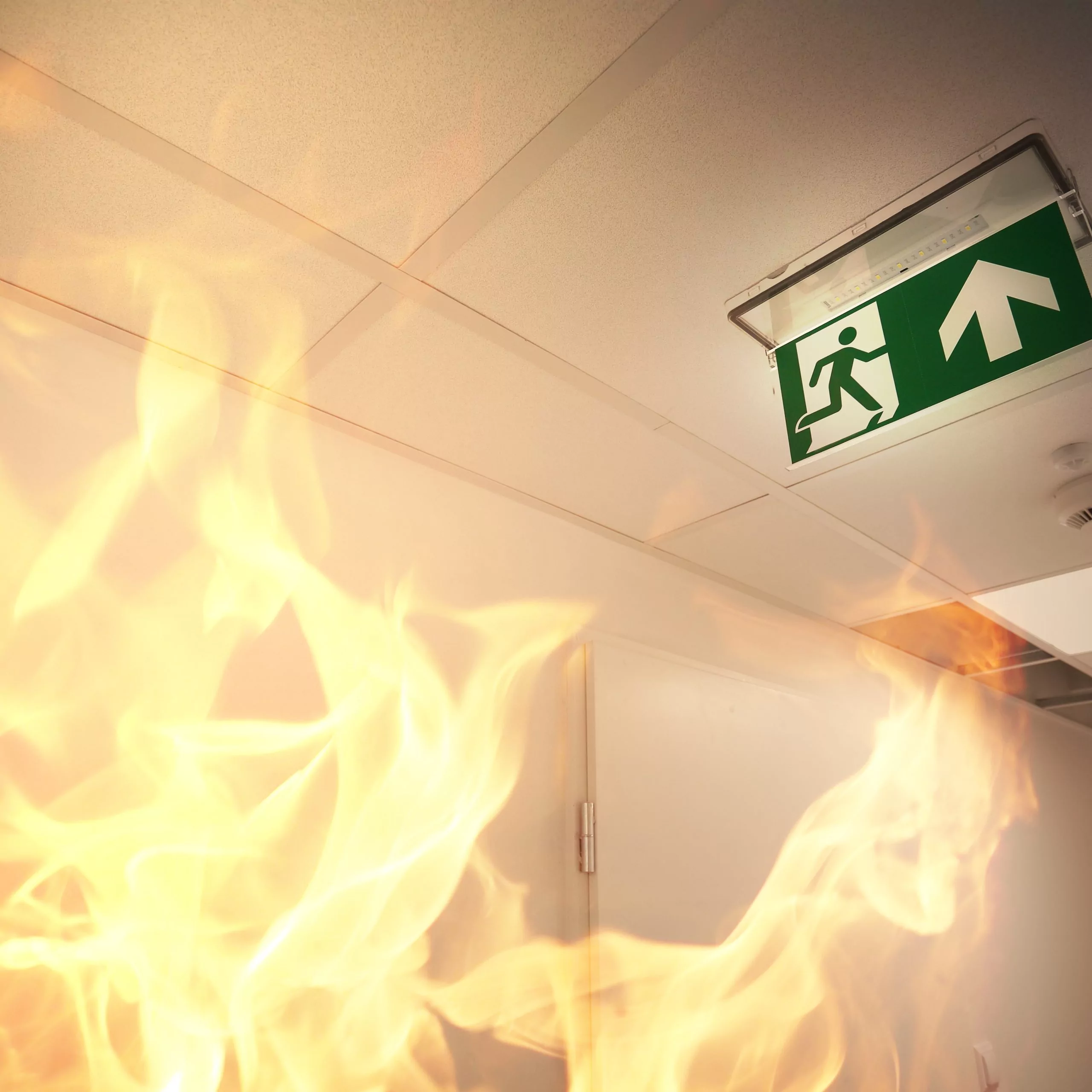 Emergency exit and fire alarm