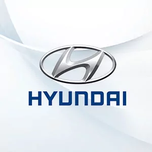 Hyundai OEM Integration
