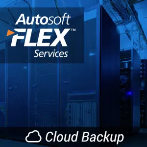 Autosoft FLEX Cloud Backup